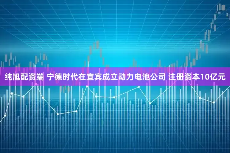 纯旭配资端 宁德时代在宜宾成立动力电池公司 注册资本10亿元