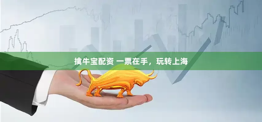 擒牛宝配资 一票在手，玩转上海